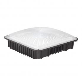 60W Canopy Light