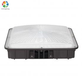 80W Canopy Light