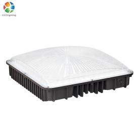 100W Canopy Light